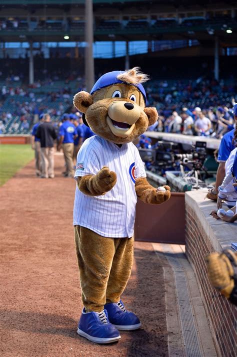 From Fun to Offensive: How the Cubs Mascot Incident Altered Perception